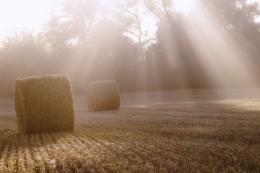 StrawBale